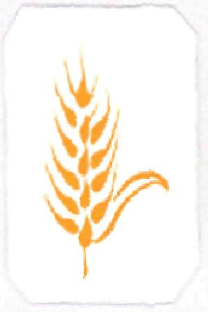 Device Device mark 2180225 Trademark