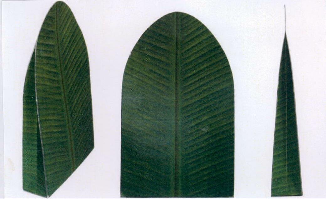 Device Of Leaves Device mark 2126475 Trademark