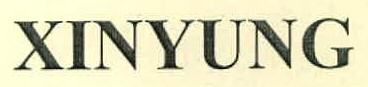 Xinyung Device mark 2894077 Trademark
