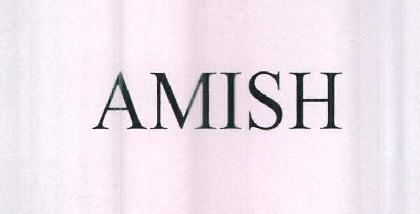 Amish Device mark 2458095 Trademark