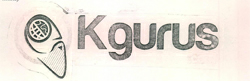 Kgurus Device mark 2567467 Trademark
