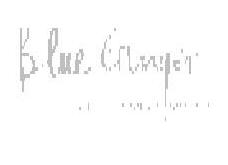 Blue Ginger (device) Device mark 1285342 Trademark