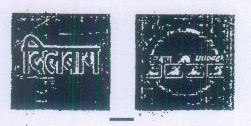 Dilbagh (label) Device mark 1058516 Trademark