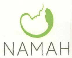 Namah (device) Device mark 2611970 Trademark