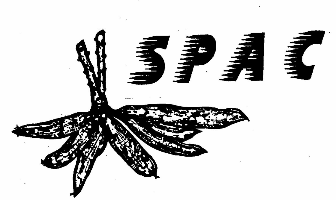 Spac Device mark 831319 Trademark