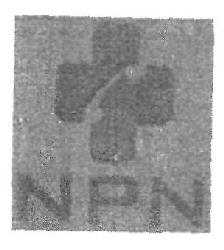 N P N (device) Device mark 2669831 Trademark
