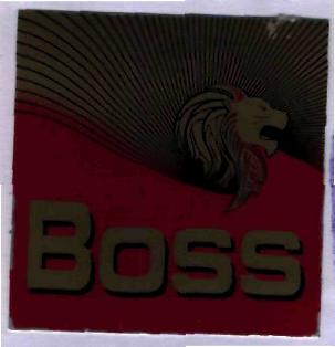 Boss Device mark 2030541 Trademark