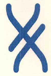 Device Of Geometrical Miscellaneous Device mark 2714331 Trademark