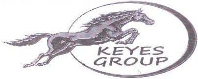 Keyes Group Device mark 1943100 Trademark