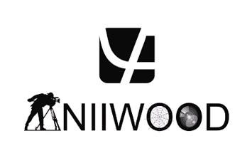 Aniiwood Device mark 2396895 Trademark