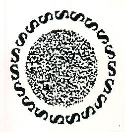 Solares Logo Device mark 2388701 Trademark