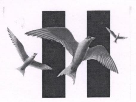 H (logo) Device mark 1675863 Trademark