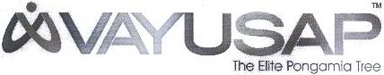 Vayusap Device mark 1979595 Trademark