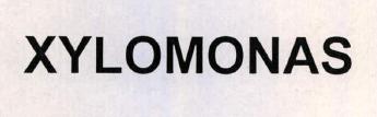 Xylomonas Device mark 2217659 Trademark