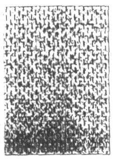 Pique (device Of Design] Device mark 1243002 Trademark