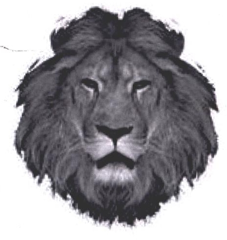 (device) Device mark 2383555 Trademark