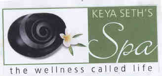 Spa Device mark 1978419 Trademark