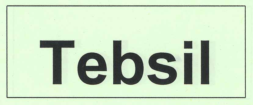 Tebsil Device mark 1745026 Trademark