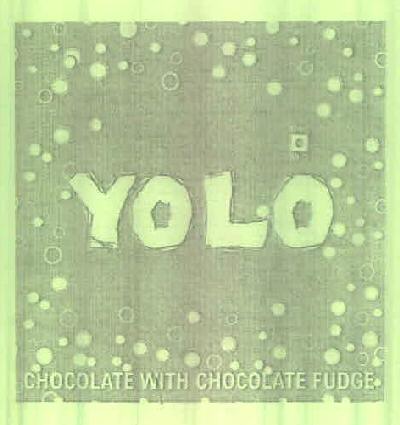 Yolo Device mark 2441881 Trademark