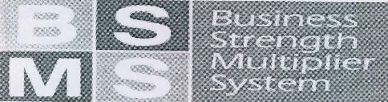 Bsms Business Strength Multiplier System Device mark 2179919 Trademark