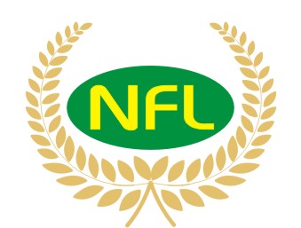 Nfl (device) Device mark 2983626 Trademark