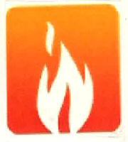 Device Of Flame Device mark 2931404 Trademark