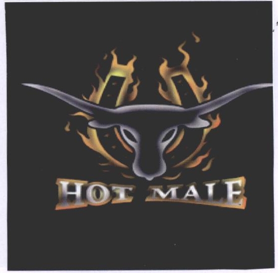 Hot Male Device mark 2186663 Trademark