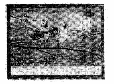 Music Birds Device mark 505850 Trademark