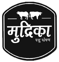 Mudrika With Device Of Two Cows Device mark 2931965 Trademark