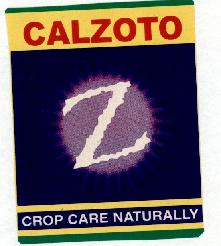 Calzoto (label) Device mark 1578194 Trademark