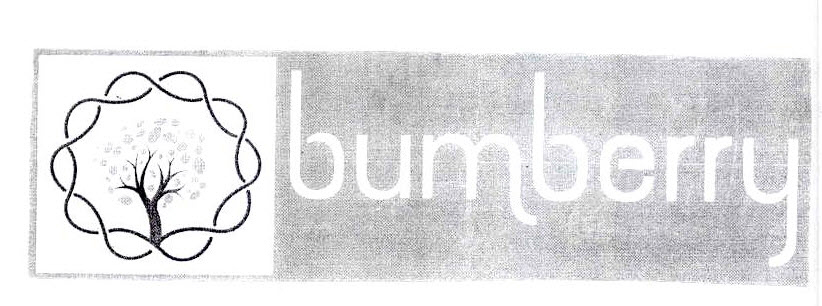 Bumberry Device mark 2577558 Trademark