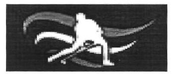 Device Device mark 2682974 Trademark