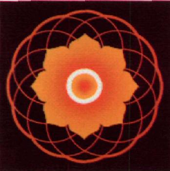 Device Device mark 2510256 Trademark