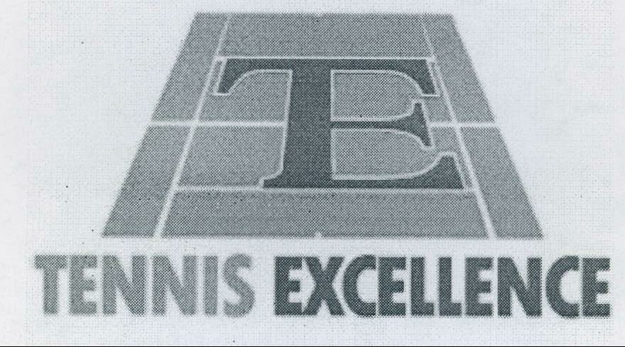 Tennis Excellence Device mark 2162883 Trademark