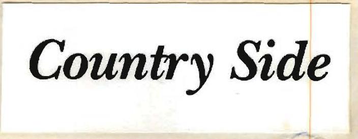 Country Side Device mark 772786 Trademark