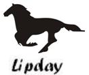 Lipday Device mark 2744012 Trademark