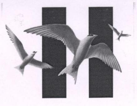 H (logo) (label) Device mark 1675865 Trademark