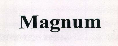 Magnum Device mark 2507956 Trademark