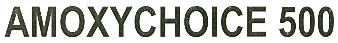 Amoxychoice 500 Device mark 2627358 Trademark