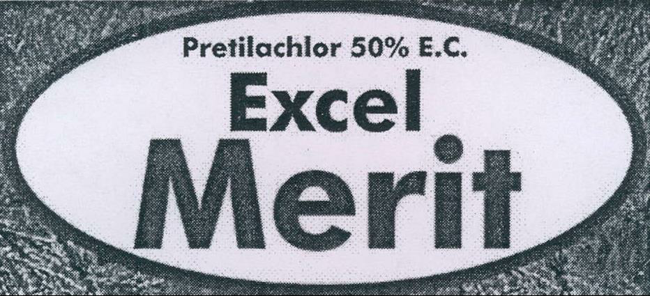 Excel Merit Device mark 2151357 Trademark