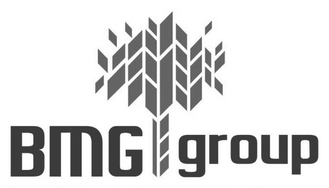 Bmg Group With Logo Device mark 2144278 Trademark