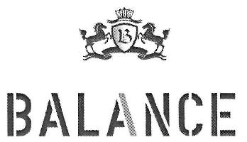 Balance Device mark 2899552 Trademark