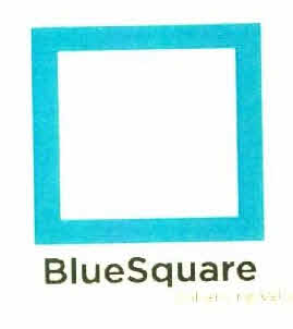 Bluesquare Device mark 2864842 Trademark
