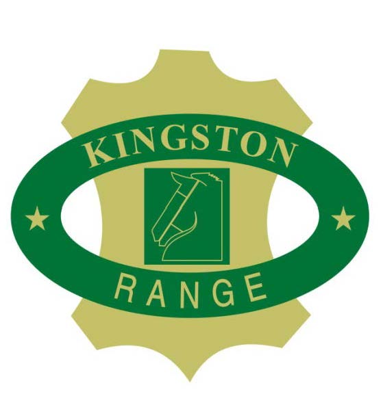 Kingston Range Device mark 2479497 Trademark