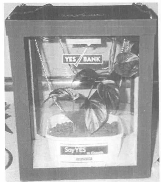 Device (plant In A Box) Device mark 1336161 Trademark