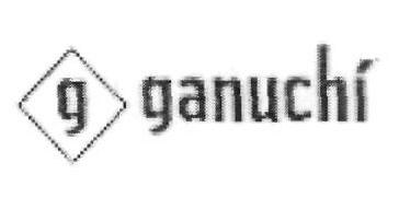 G Ganuchi (device) Device mark 2491175 Trademark