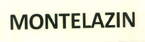 Montelazin Device mark 2872176 Trademark