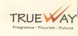 Trueway With Logo Device mark 2530898 Trademark