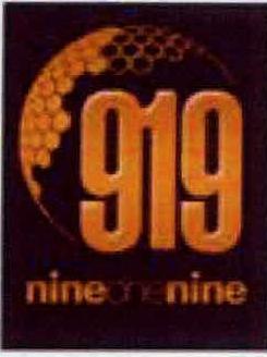 Nineonenine 919 Device mark 2260891 Trademark