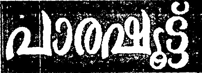 Parashut Device mark 1111424 Trademark